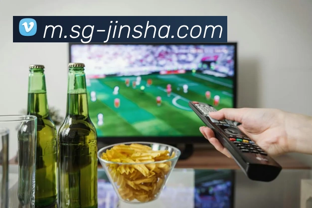 多媒体互动体验